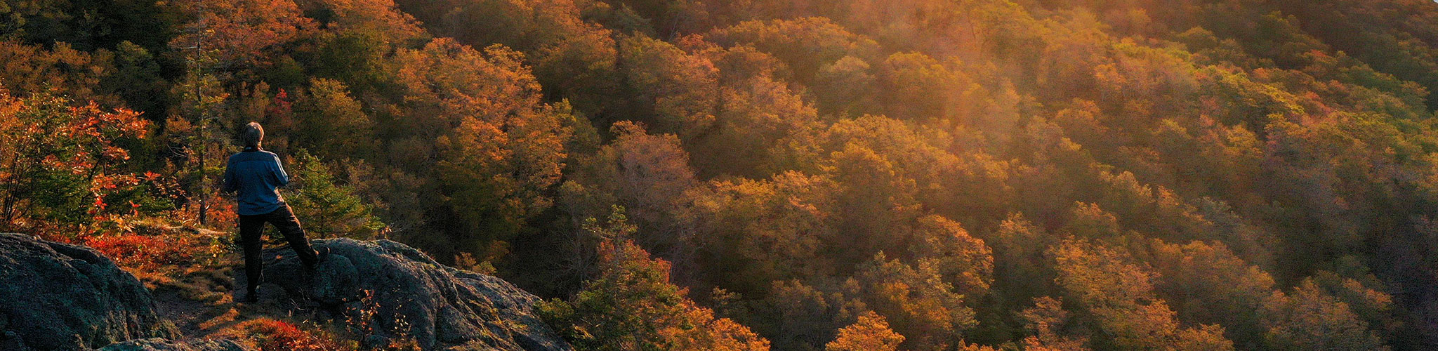 Hiker standing on rock looking down into the fall colored trees in Cape Breton Highlands