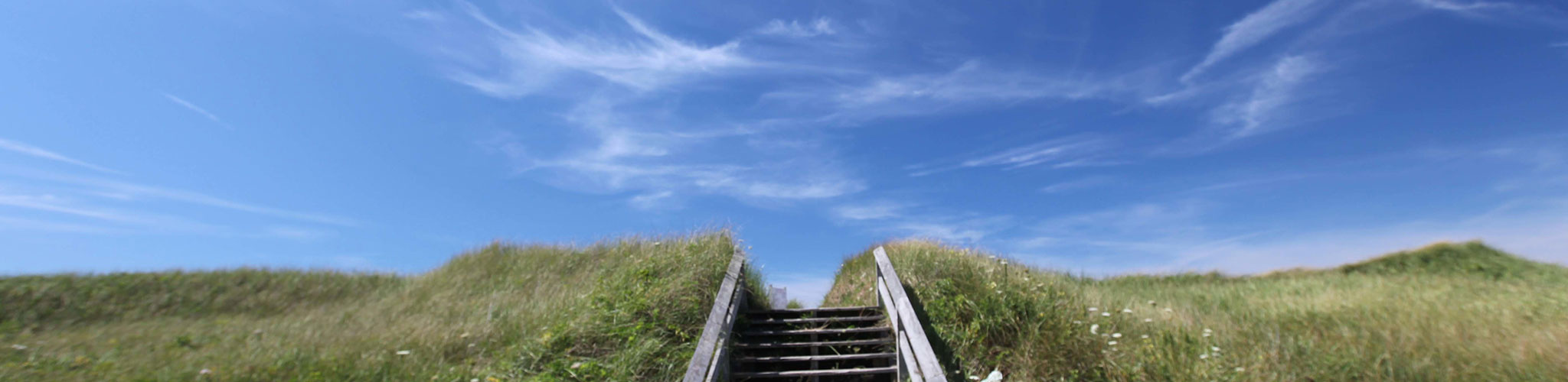 Steps leading into tall beach grass with clear blue skies in the background
