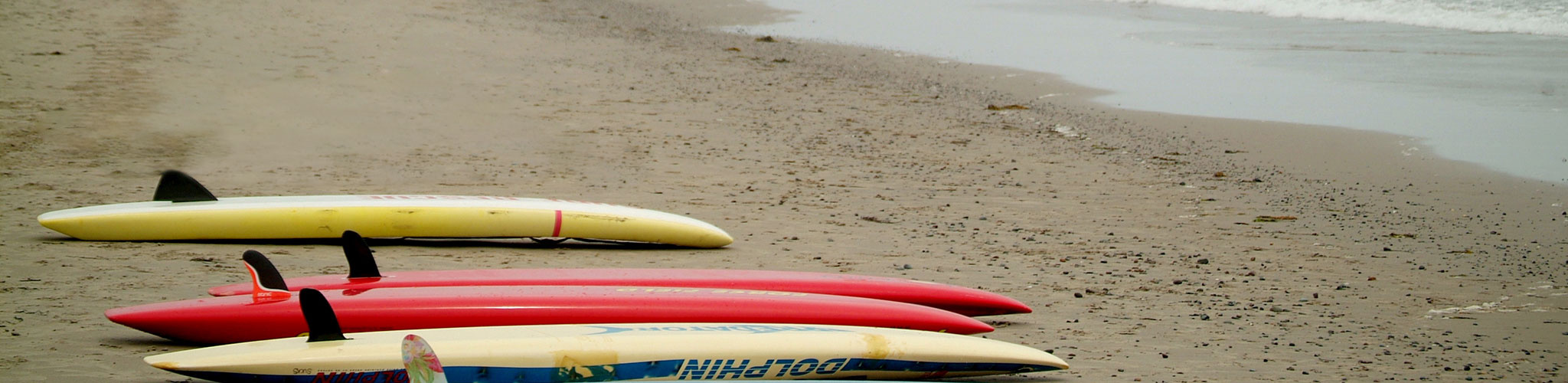 Group of surfboards lined up on the beach