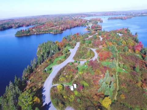aerial photograph featuring the small island with younger trees and vegetation that has come back. The forest that has reestablished is showing beautiful Fall colours of mostly red, orange, burgundy, yellow, and green.