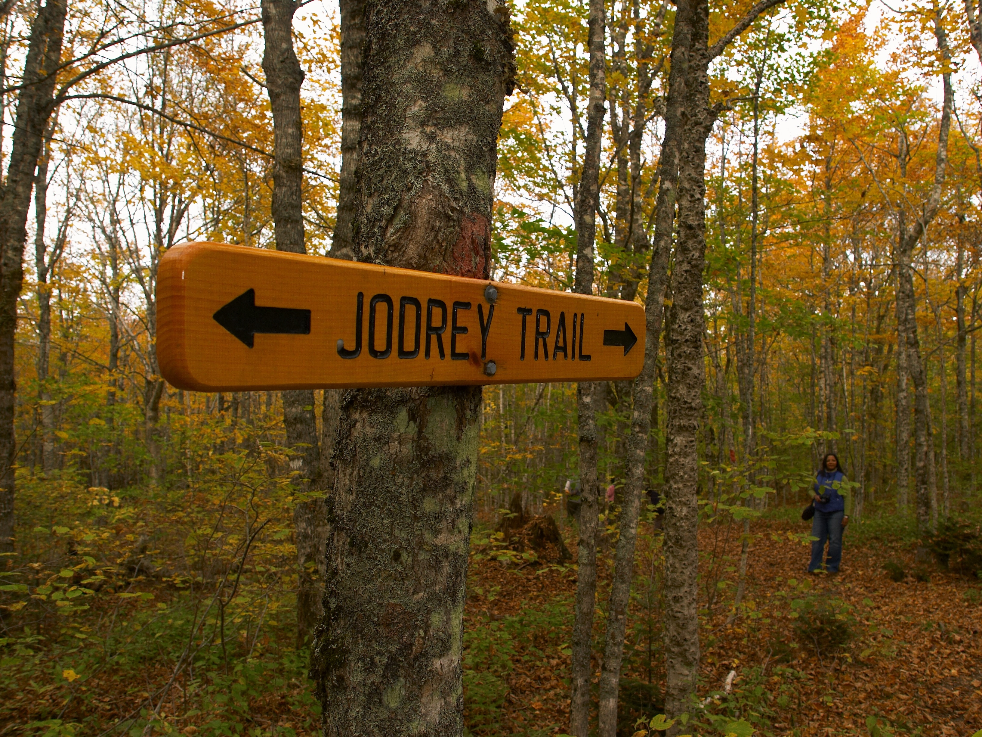 jodrey trail sign