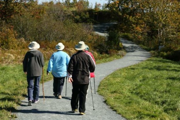 Four people walk on a gravel path through a park. 