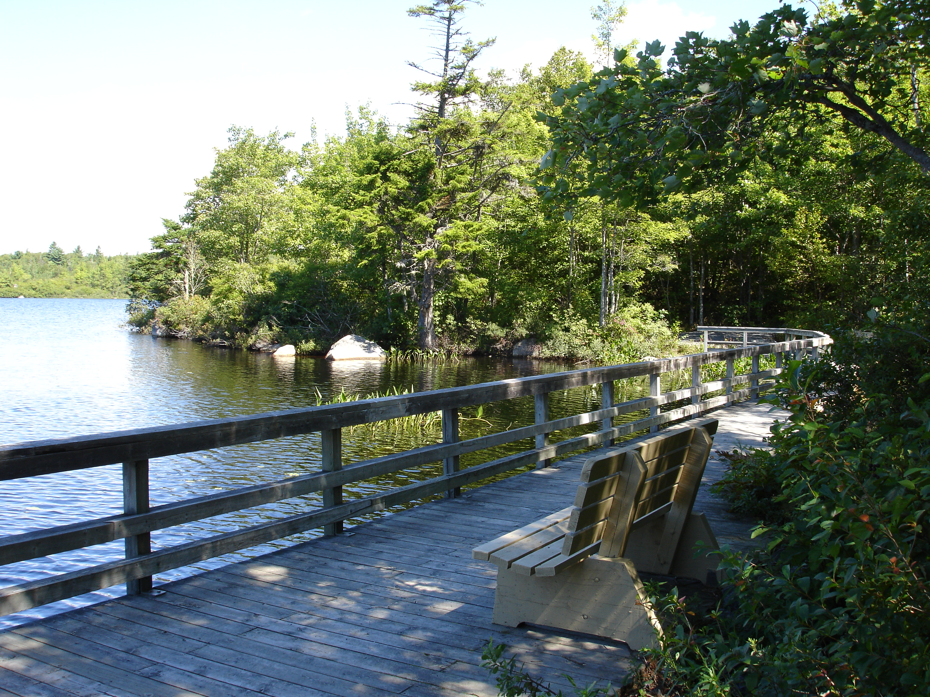 boardwalk along lake