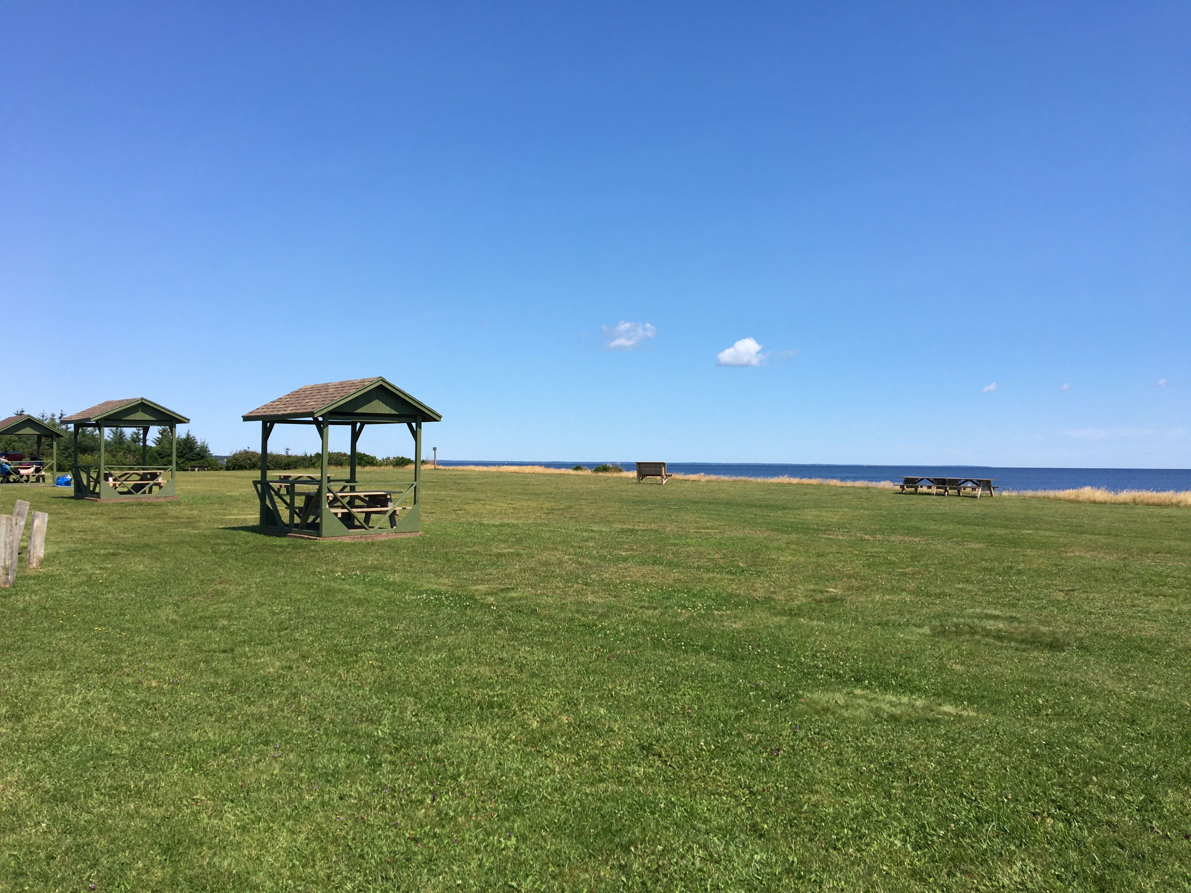 covered picnic tables