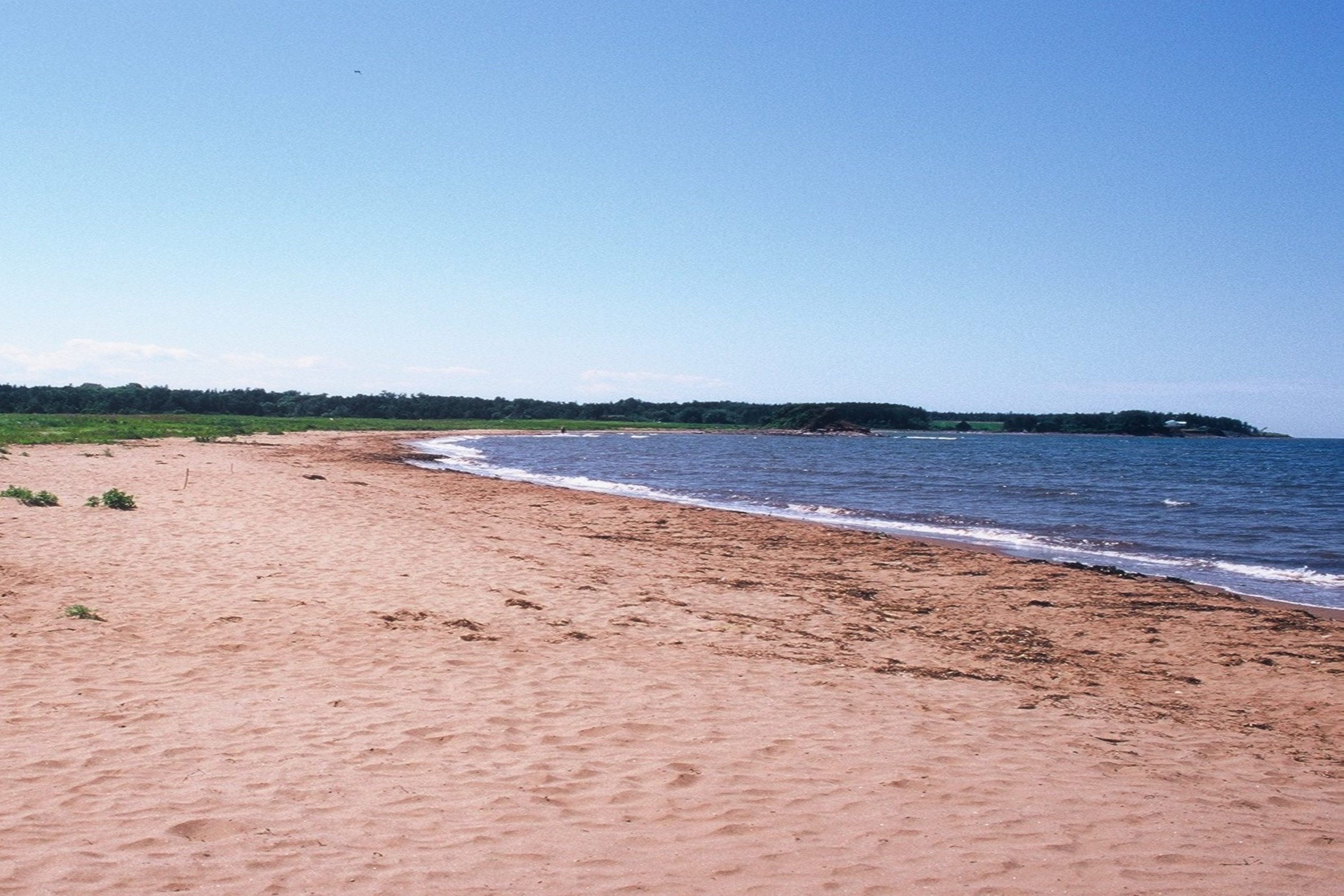 shoreline at Waterside Beach