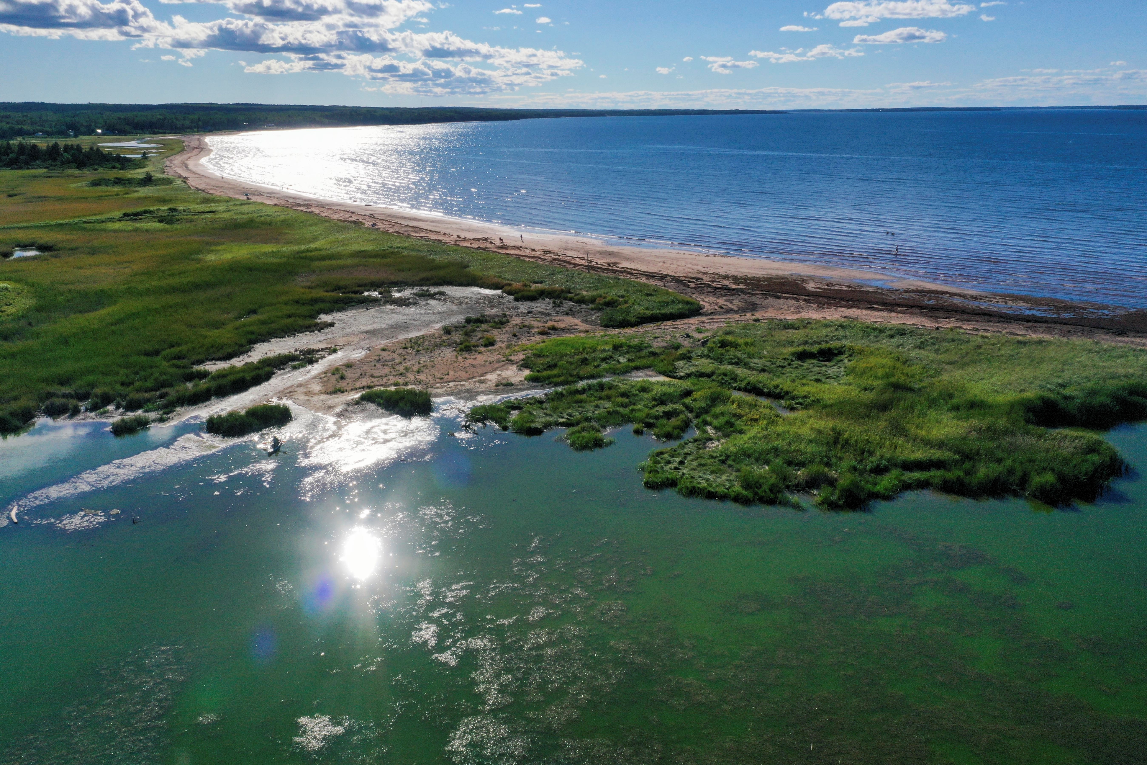 aerial view of beach and wetland