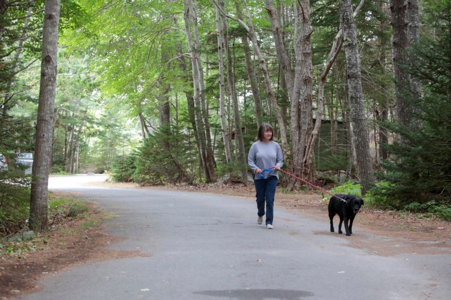 A woman walking a black dog on leash along a park road. 
