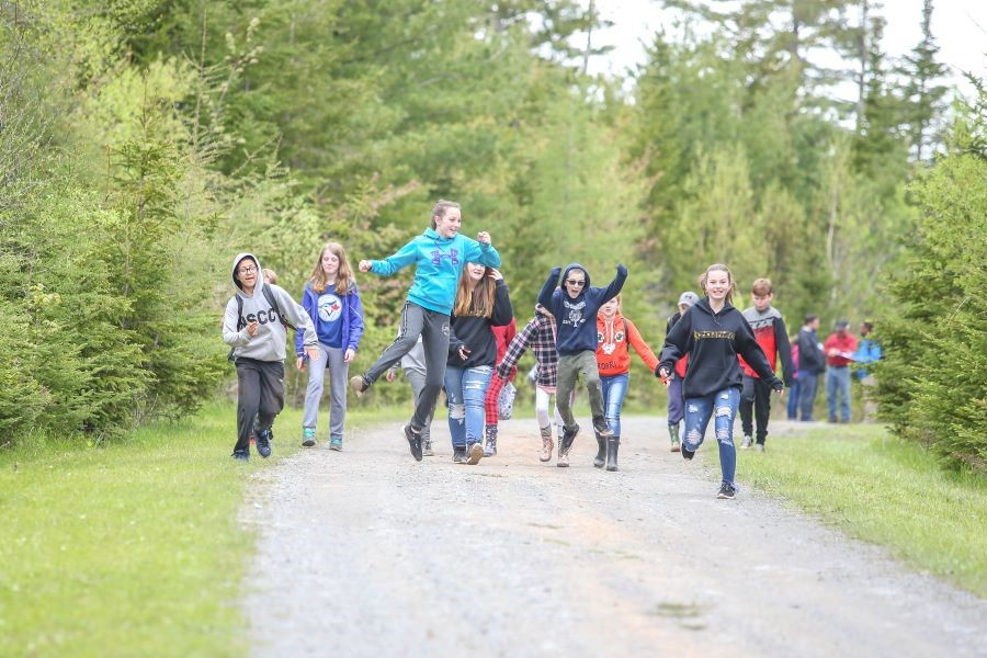A group of youth walking and jumping on a gravel road through the woods.