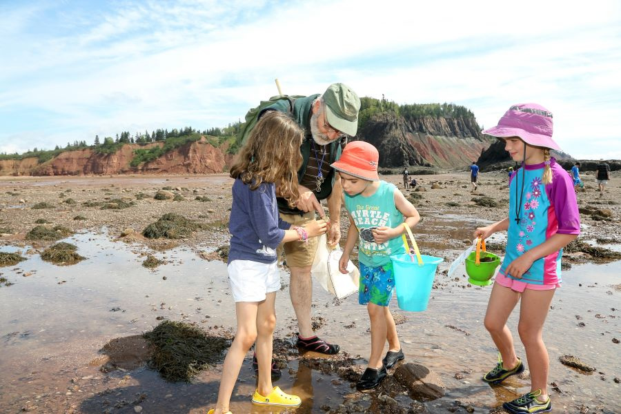 3 children and an adult standing on a muddy beach looking at shells found in the tidal pools at Five Islands.