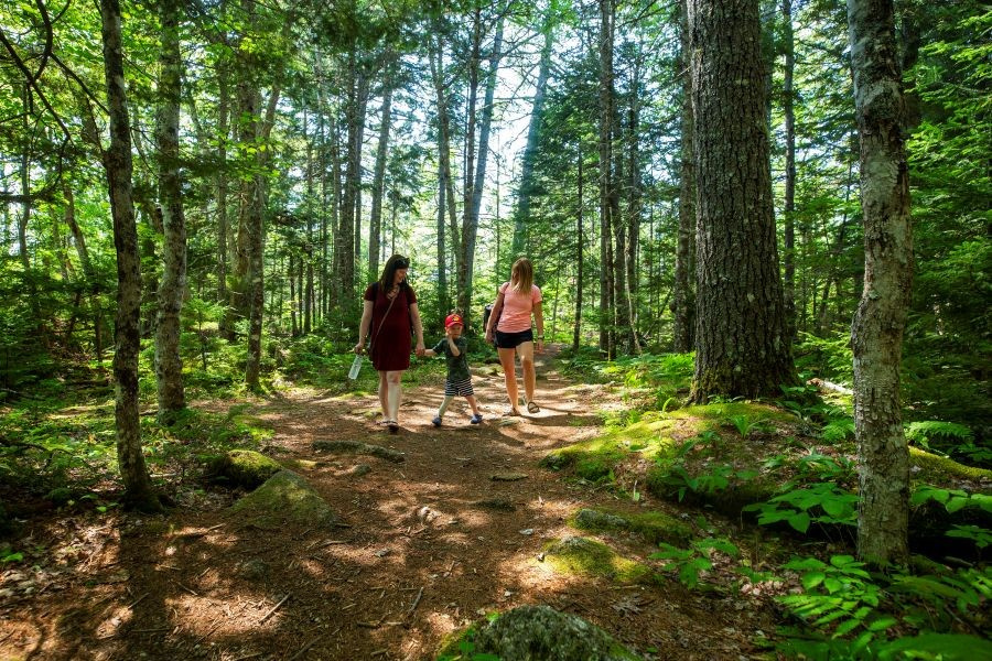 two women and a child walking in the woods at Mickey Hill park