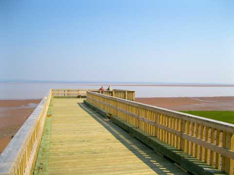 boardwalk at Anthony Park