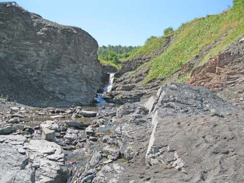 Arisaig Park