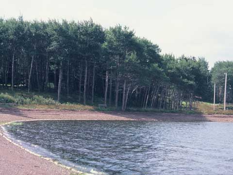 shoreline at Lennox Passage 