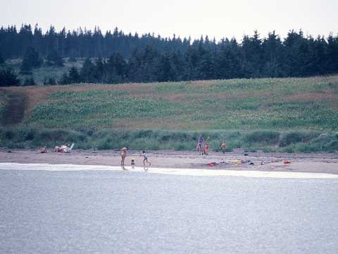 Pondville Beach