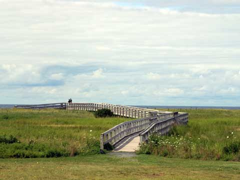 boardwalk at Rushtons Beach 