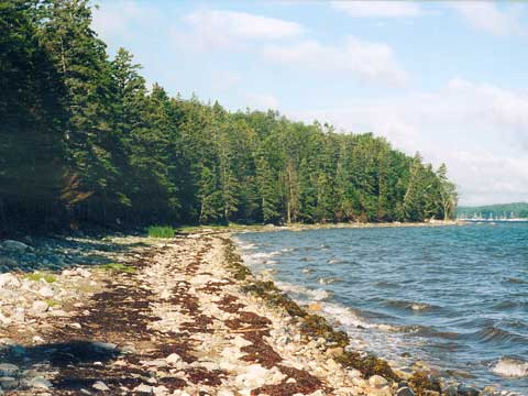 shoreline at Second Peninsula Park