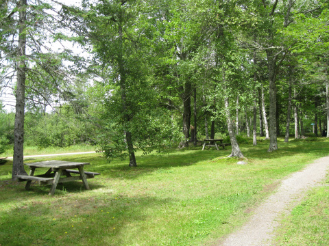 picnic area at Tatamagouche
