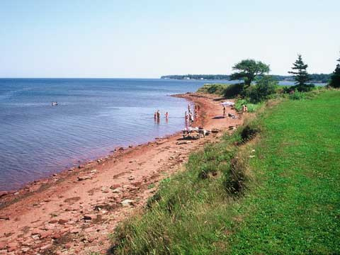 shoreline at Tidnish Dock