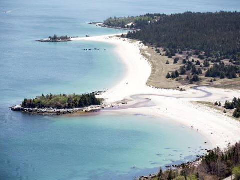 Aerial image of Carters Beach white sand beach backed by dunes and forest. 